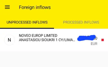 Пример входящего перевода до валютного контроля