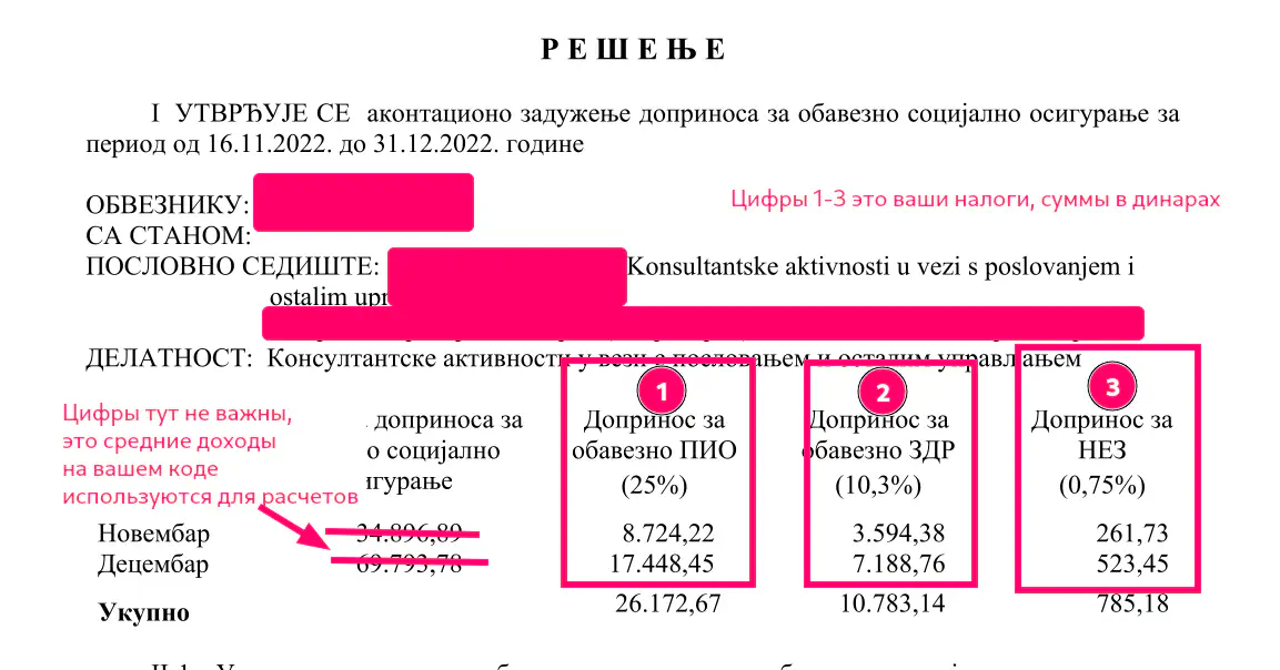 Пример налогового решения. Суммы в примере могут отличаться от ваших